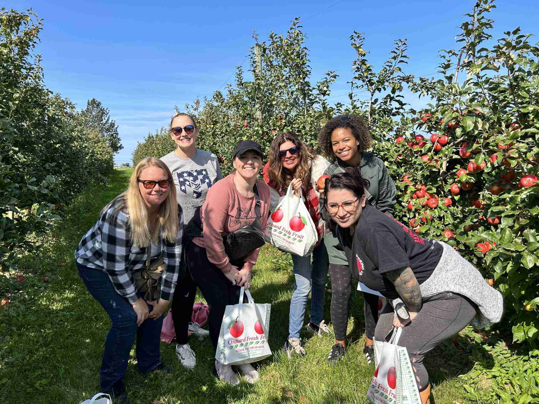 Apple Picking