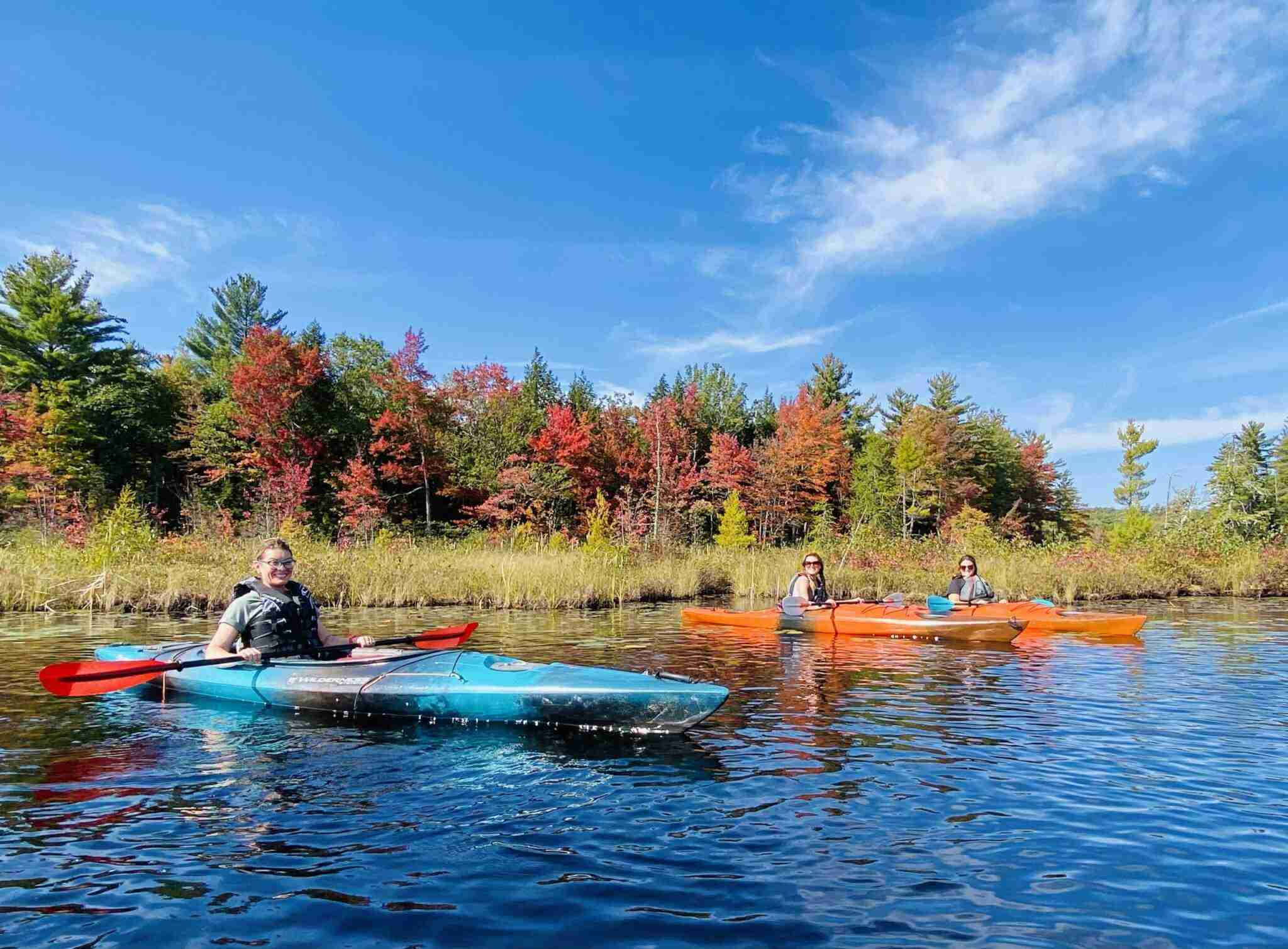 Leaf Peeping